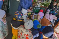 IMG_20250402_110415