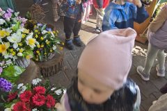 IMG_20250402_110444