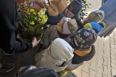 IMG_20250402_110502