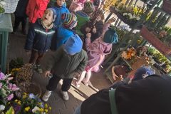 IMG_20250402_110506