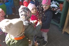 IMG_20250402_110529