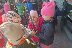 IMG_20250402_110532