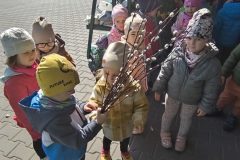 IMG_20250402_110548