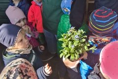 IMG_20250402_110743