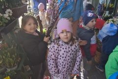 IMG_20250402_110752