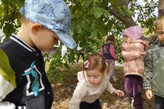 IMG_20250918_122135