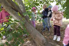 IMG_20250918_122211