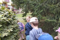 IMG_20250918_122741