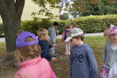 IMG_20250918_122942