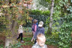 IMG_20250918_123544