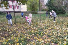 IMG_20251017_125756
