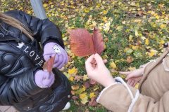 IMG_20251017_125803
