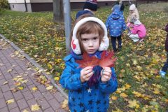 IMG_20251017_125842