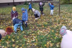 IMG_20251017_130017