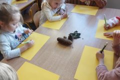 IMG_20251020_094413