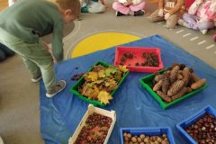 IMG_20251020_103015