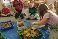 IMG_20251020_103225