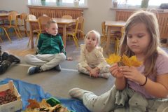 IMG_20251020_103237