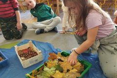 IMG_20251020_103250