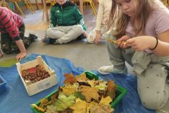 IMG_20251020_103253