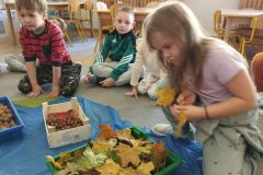 IMG_20251020_103307