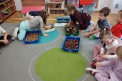 IMG_20251022_095043