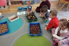 IMG_20251022_095053