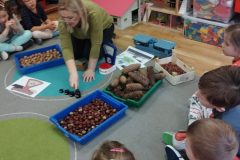 IMG_20251022_095358