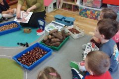 IMG_20251022_095411