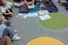 IMG_20251022_100530