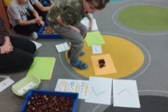 IMG_20251023_091526