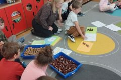 IMG_20251023_092451