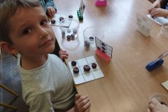IMG_20251023_102222