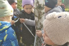 IMG_20251023_123015