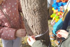 IMG_20251023_123042