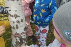 IMG_20251023_123059