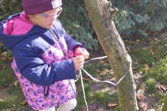 IMG_20251023_123216