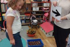 IMG_20251024_094041
