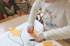 IMG_20251024_110446