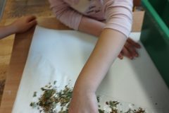 IMG_20251024_122535