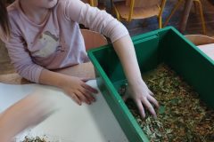 IMG_20251024_122541