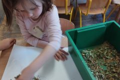 IMG_20251024_122545_1