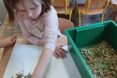 IMG_20251024_122545_BURST1