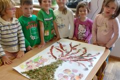 IMG_20251024_125252