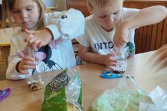 IMG_20250926_123031