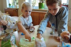 IMG_20250926_123037