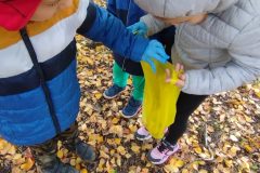 IMG_20251029_121847