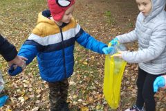 IMG_20251029_122040