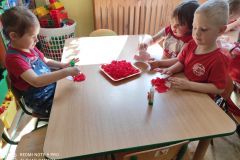 190447967_472922073992031_7683027694506169589_n