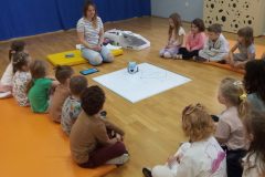 IMG_20250414_112229